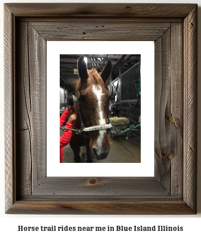 horse trail rides near me in Blue Island, Illinois